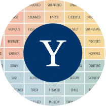 Kintess Yale Mood Meter Emotional Intelligence Icon