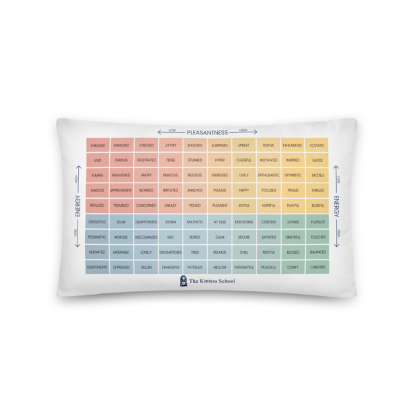 Mood Meter & RULER Method Pillow - Image 4
