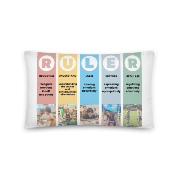 Mood Meter & RULER Method Pillow - Image 3