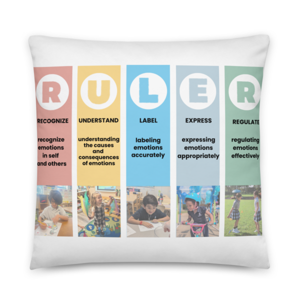 Mood Meter & RULER Method Pillow - Image 5