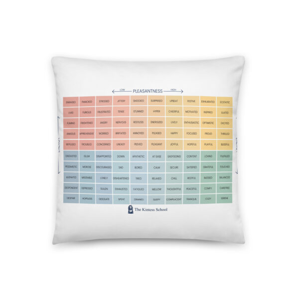 Mood Meter & RULER Method Pillow