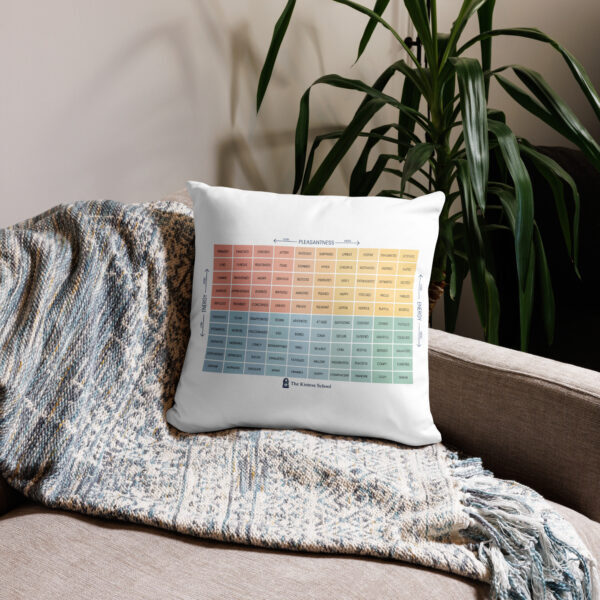 Mood Meter & RULER Method Pillow - Image 4