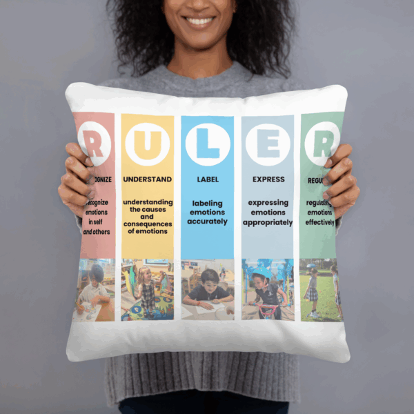 Mood Meter & RULER Method Pillow - Image 2