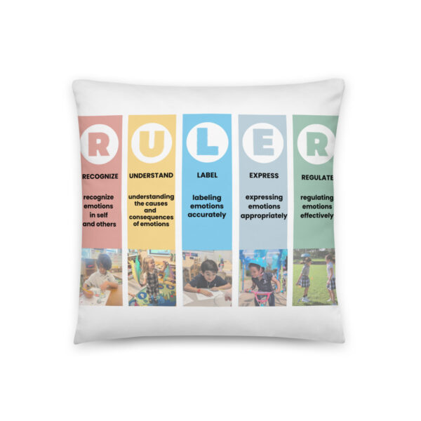 Mood Meter & RULER Method Pillow - Image 3
