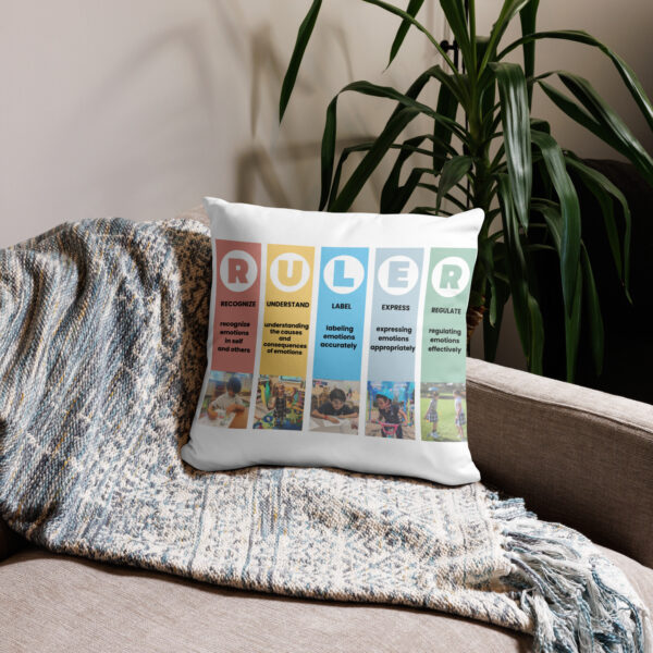 Mood Meter & RULER Method Pillow - Image 5